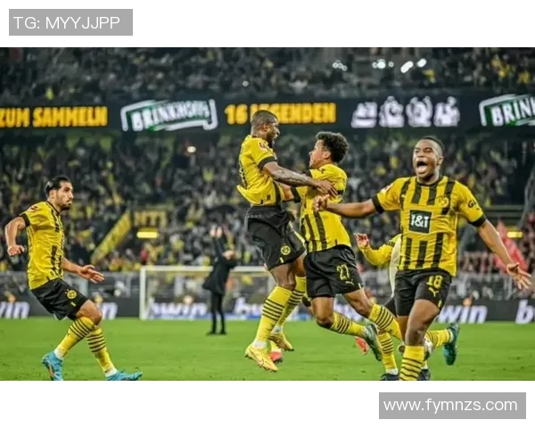 巅峰对决拜仁与多特蒙德欧冠决赛精彩回顾与战术分析